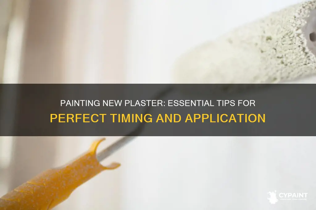how many times do you paint new plaster