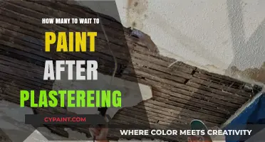 Perfect Timing: When to Paint After Plastering for Flawless Walls