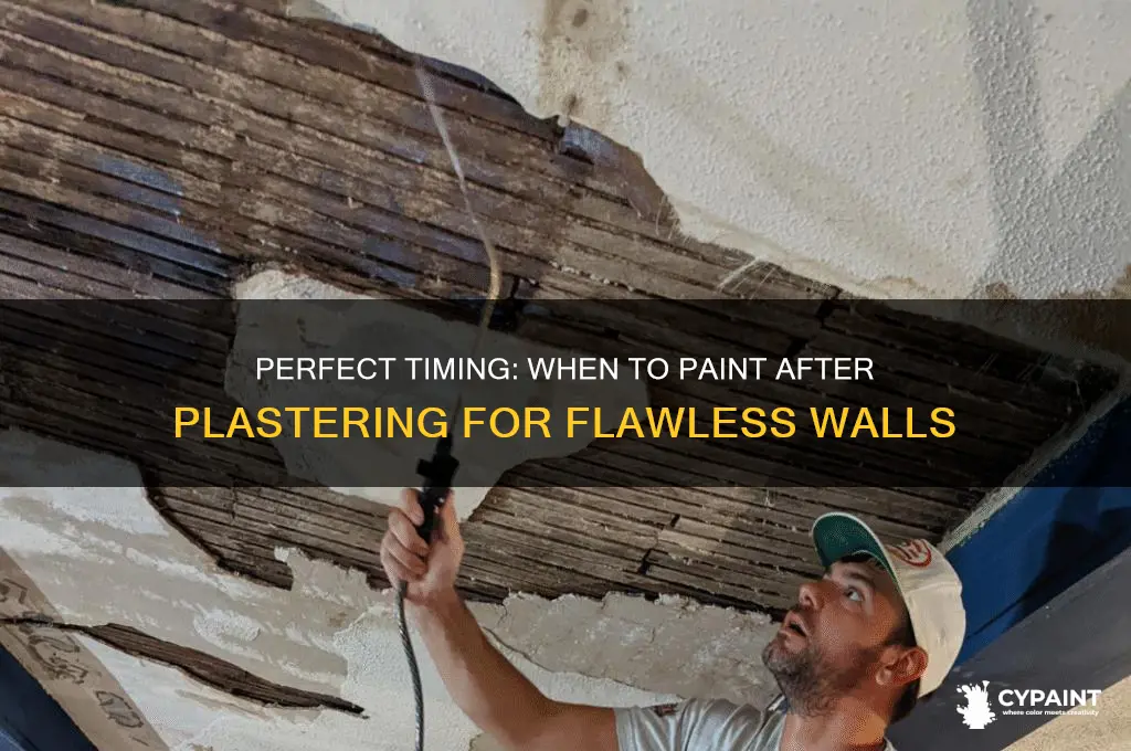 how many to wait to paint after plastereing