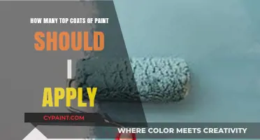 Protect Your Paint Job: Apply Multiple Top Coats