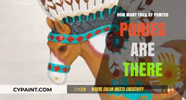 Discovering the Total Number of Trail of Painted Ponies Figures