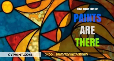 Exploring the Diverse World of Paint Types and Varieties