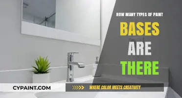 Exploring the Diverse World of Paint Bases and Their Varieties
