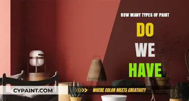 Exploring the Diverse World of Paint Types and Varieties