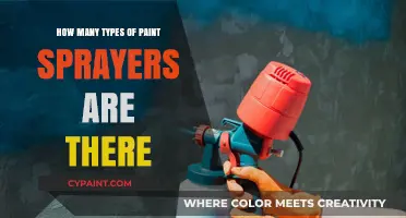 Exploring the Diverse World of Paint Sprayer Types and Uses