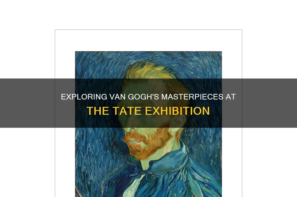 how many van gogh paintings in tate exhibition