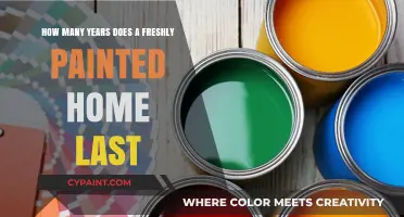 Freshly Painted Homes: How Long Does the Paint Last?