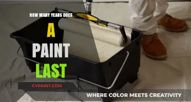 Understanding Paint Durability: Lifespan and Factors Affecting Longevity