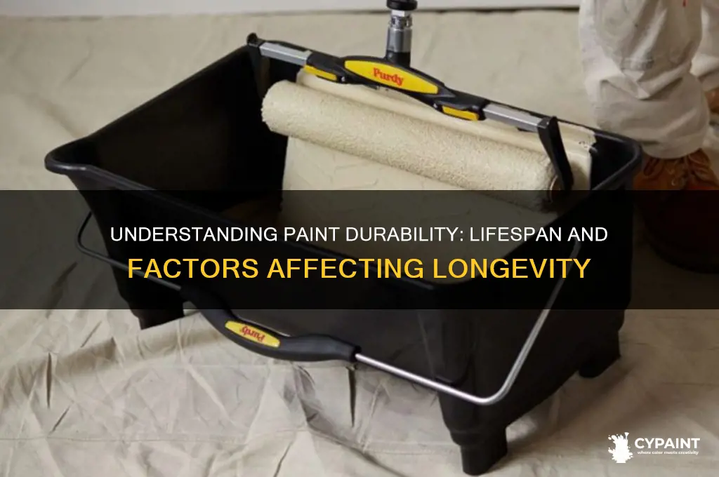 how many years does a paint last