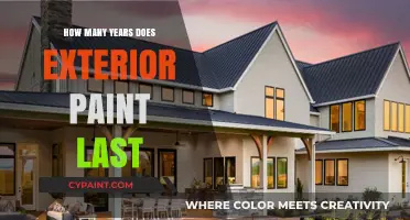 Exterior Paint Lifespan: Factors Affecting Durability and Longevity