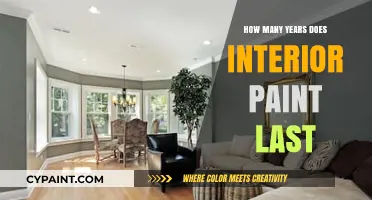 Interior Paint Lifespan: How Long Does It Really Last?