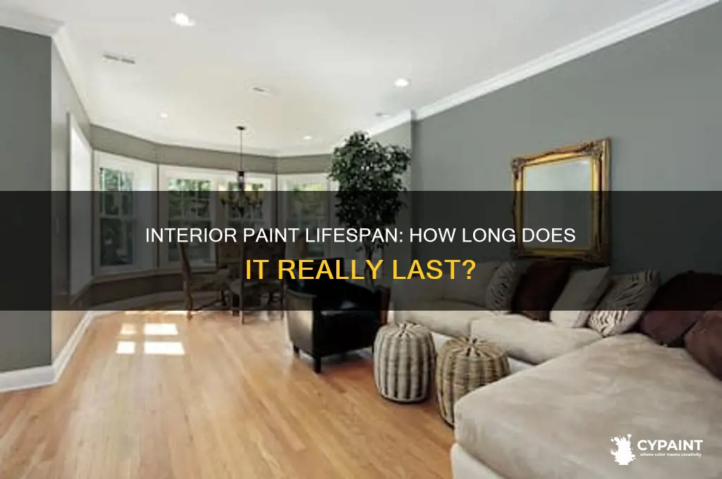 how many years does interior paint last