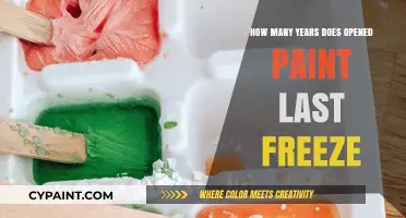 How Long Does Opened Paint Last After Freezing?