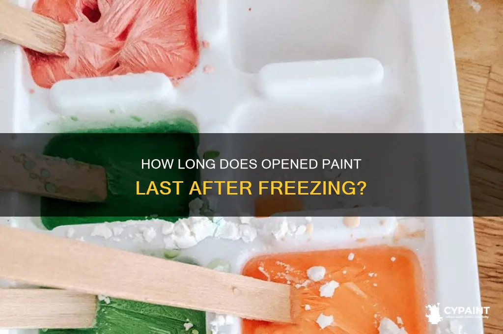 how many years does opened paint last freeze