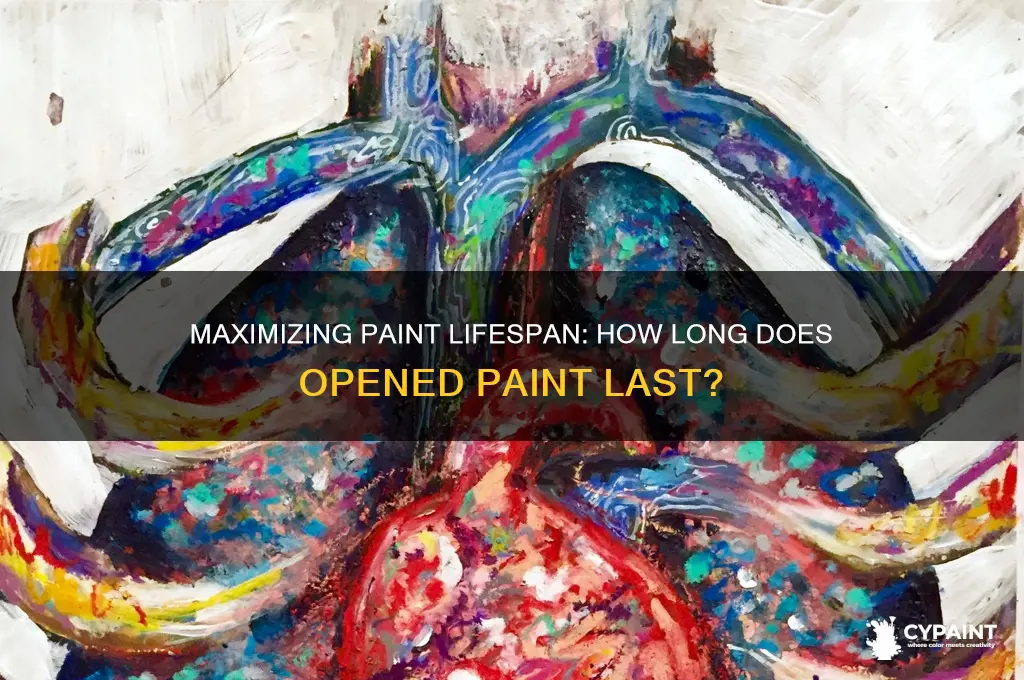 how many years does opened paint last