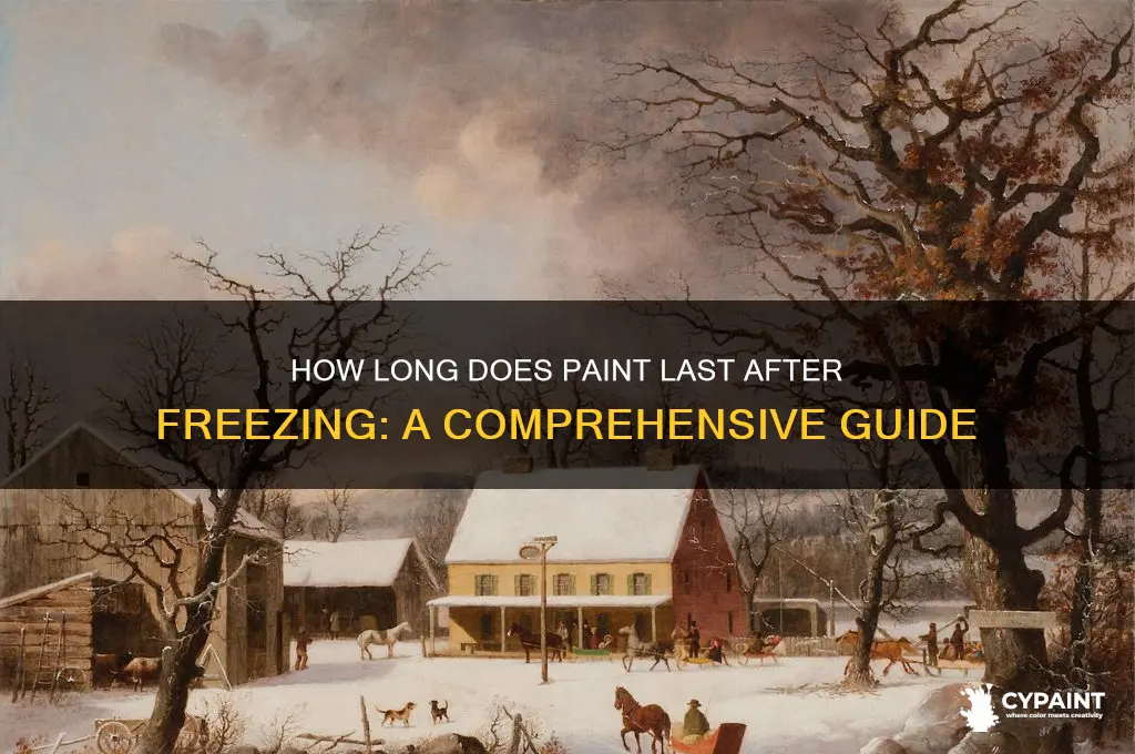 how many years does paint last freeze
