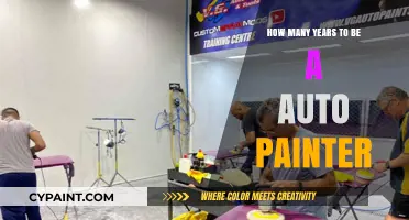 Auto Painter Career Path: Training Duration and Skill Development Timeline