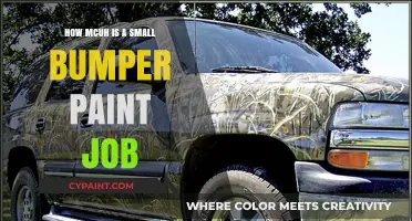 Small Bumper Paint Job Cost: What to Expect and Budget For