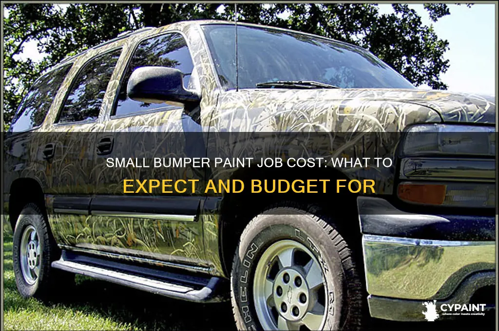 how mcuh is a small bumper paint job