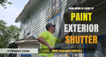 Exterior Shutter Painting Labor Costs: What to Expect