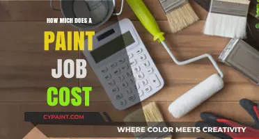 Understanding the Cost of a Professional Paint Job for Your Home