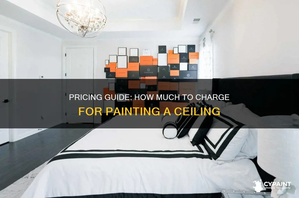 how muchh to charge to paint a ceililng