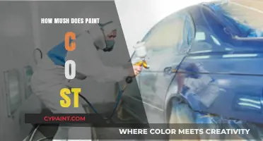 Understanding Paint Costs: Factors Affecting Price and Budget-Friendly Options