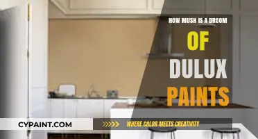 Dulux Paint Costs: How Much is a Drum of Dulux?