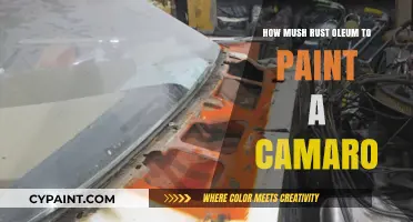 Rust-Oleum Paint Coverage Guide: How Much for a Camaro?