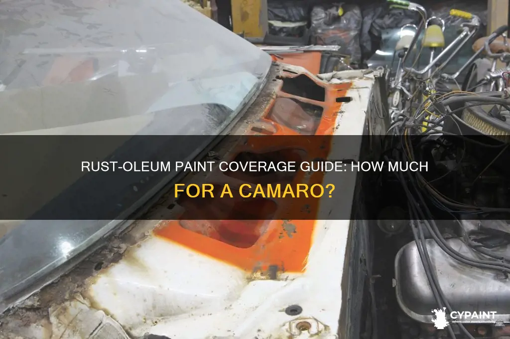 how mush rust oleum to paint a camaro