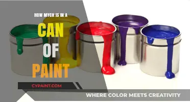 Unveiling the Hidden Volume: How Much Paint is Really in a Can?