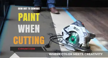 Protect Your Paint: Expert Tips for Damage-Free Cutting Techniques