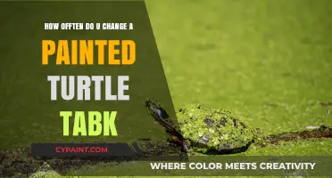Turtles and Tanks: How Often to Change the Water?