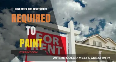 Apartment Painting Frequency: Legal Requirements and Maintenance Best Practices
