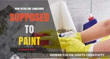 Landlord Painting Responsibilities: How Often Should Walls Be Refreshed?