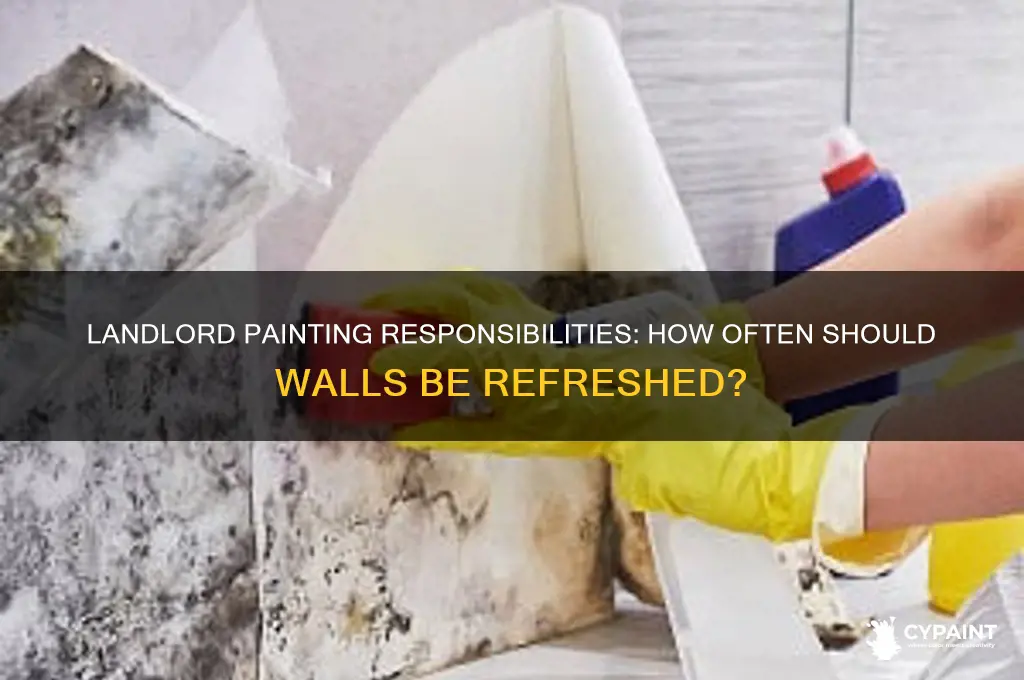 how often are landlords supposed to paint
