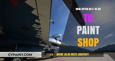 F-15 Fighter Jets: Regular Paint Shop Maintenance