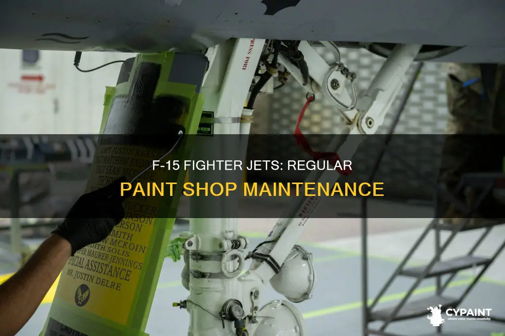 how often do f-15 go to paint shop