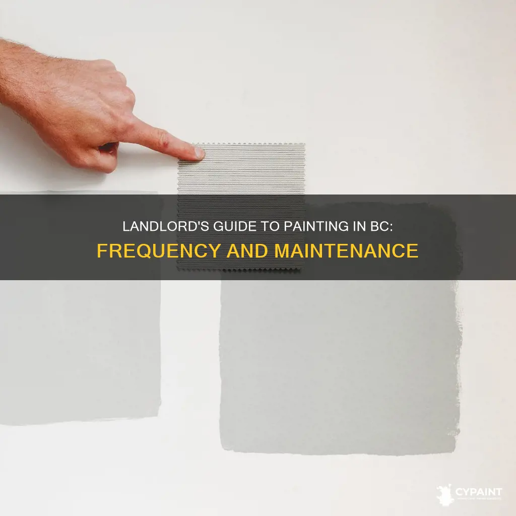 how often do landlords have to paint in bc
