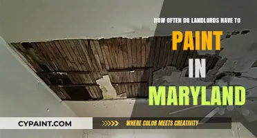 When Do Landlords Need to Repaint in Maryland?