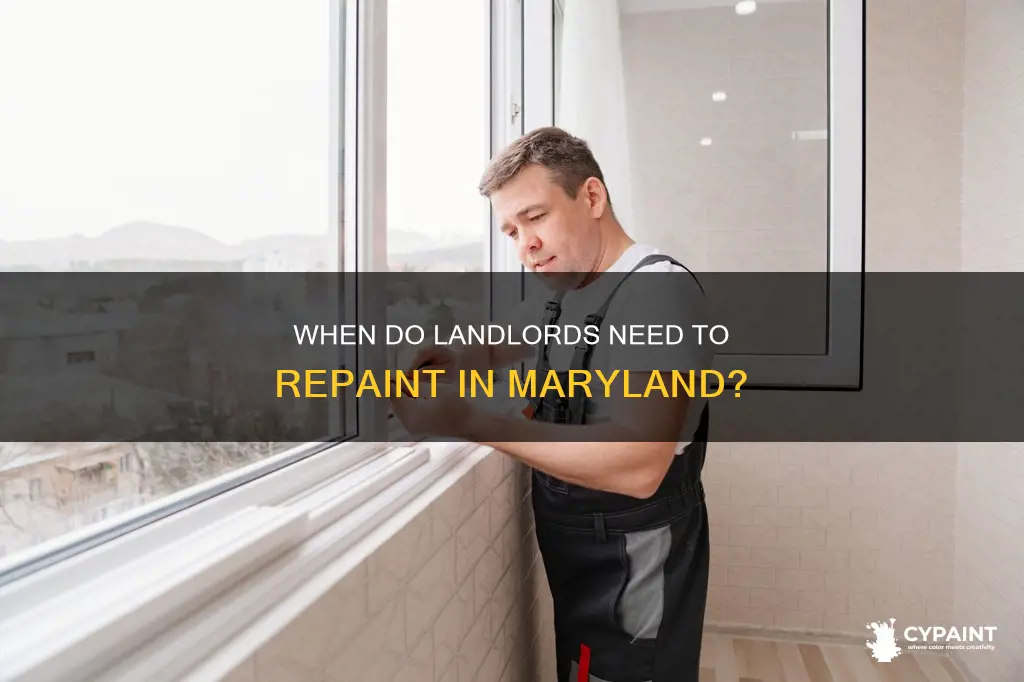 how often do landlords have to paint in maryland