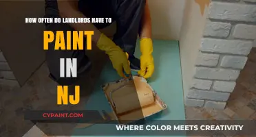 Landlord Guide: Painting Frequency in New Jersey
