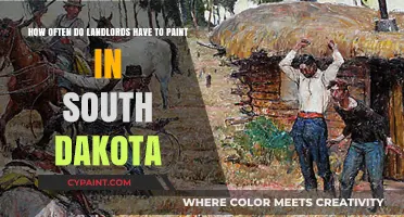 South Dakota Landlord Painting Requirements: Frequency and Responsibilities Explained