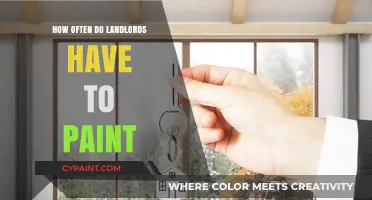 Landlord Painting Responsibilities: How Often Should Walls Be Refreshed?
