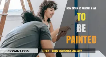 How Often Should Rental Properties Be Painted? A Landlord's Guide