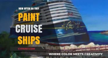 Cruise Ship Maintenance: Unveiling the Frequency of Painting Procedures