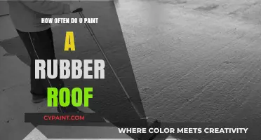 Maintaining Rubber Roofs: Optimal Painting Frequency for Durability and Protection