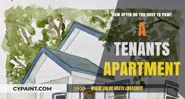 Painting Rental Units: How Often Should Landlords Refresh Tenant Apartments?