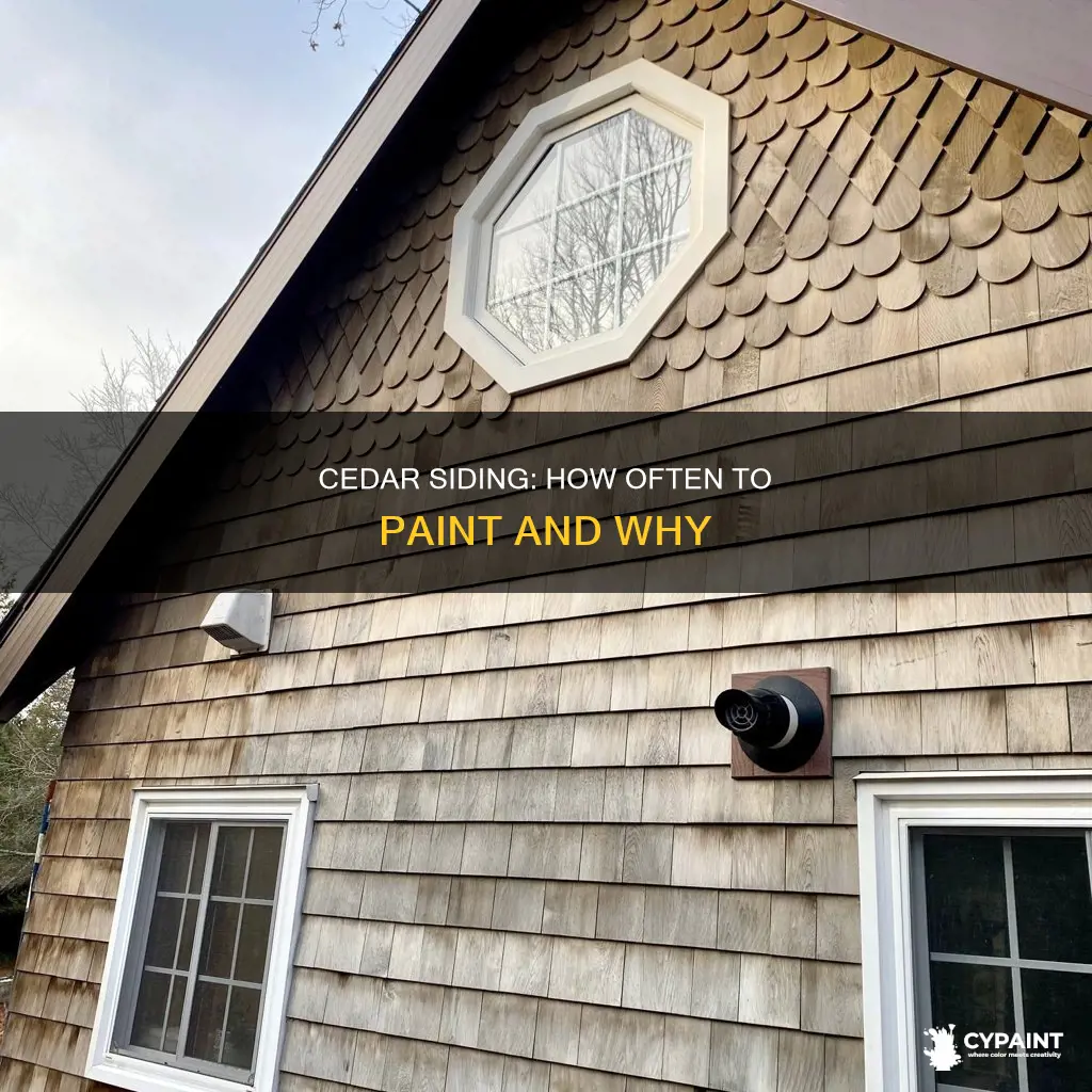 how often do you have to paint cedar siding