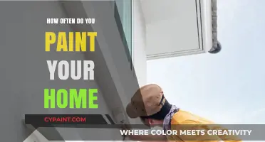 Revitalize Your Space: Ideal Frequency for Painting Your Home